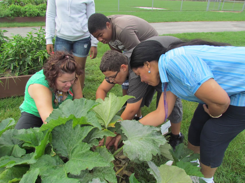 Learning Through Gardening